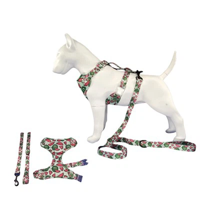 Roztomilý mäkký postroj pre psov