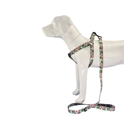 Postroj pre psa Halter