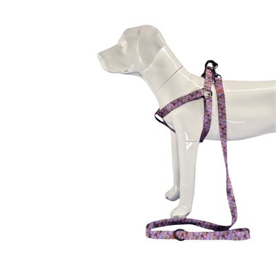 Stuha v postroji pre psov