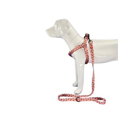 Jahodový postroj pre psa