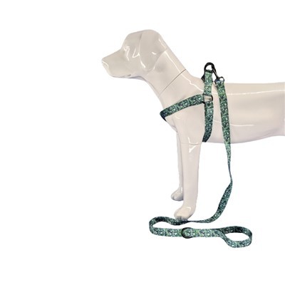 Postroj pre tropického psa