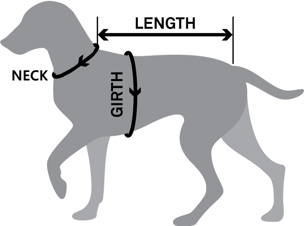 product-600-446 product-600-446