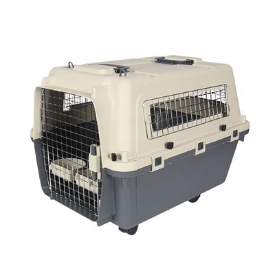 Prepravka pre domáce zvieratá schválená leteckou spoločnosťou