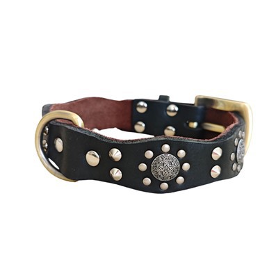 Klasický kožený obojok pre psa